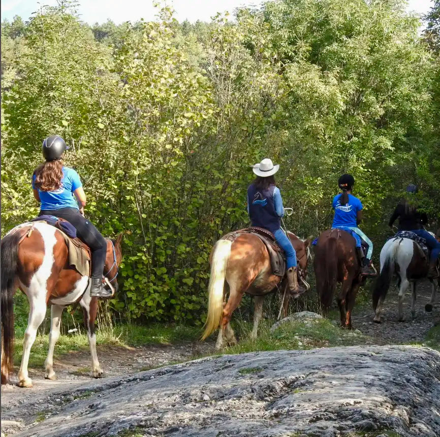 Panoramic 2-Hour Horseback Ride on Monte Gaggio (intermediate) - Touraround
