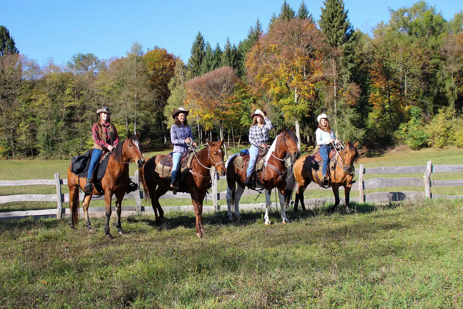 Panoramic 2-Hour Horseback Ride on Monte Gaggio (intermediate) - Touraround
