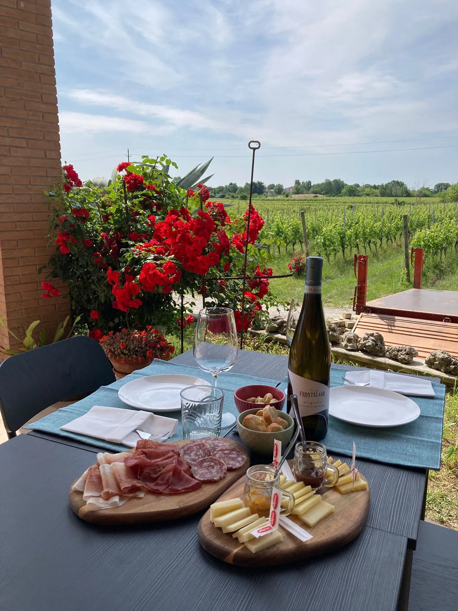 Vineyard Visit & Tasting of 3 Lugana Vintages - Touraround