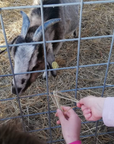 Experience Image