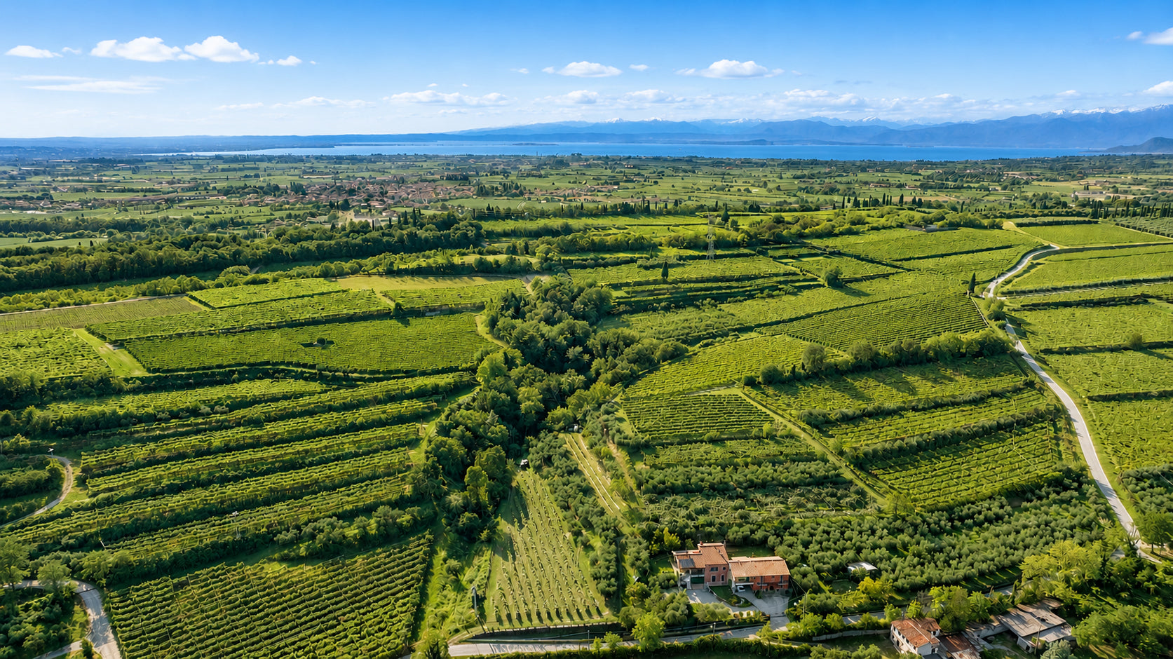 Lake Garda Olive Oil Tour & Tasting with Panoramic Views - Touraround