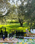 Lake Garda Olive Oil Tour & Tasting with Panoramic Views - Touraround