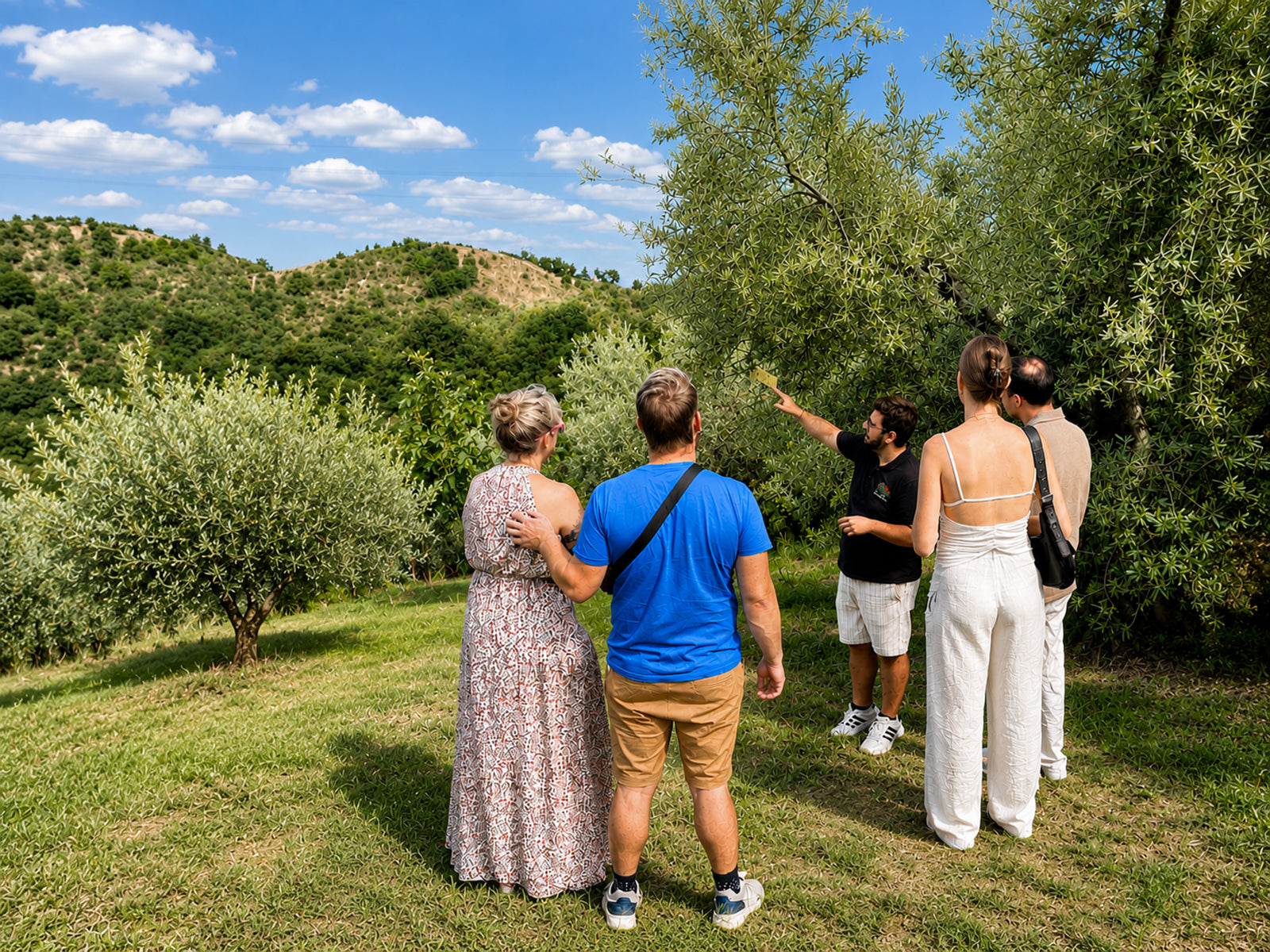 Lake Garda Olive Oil Tour & Tasting with Panoramic Views - Touraround