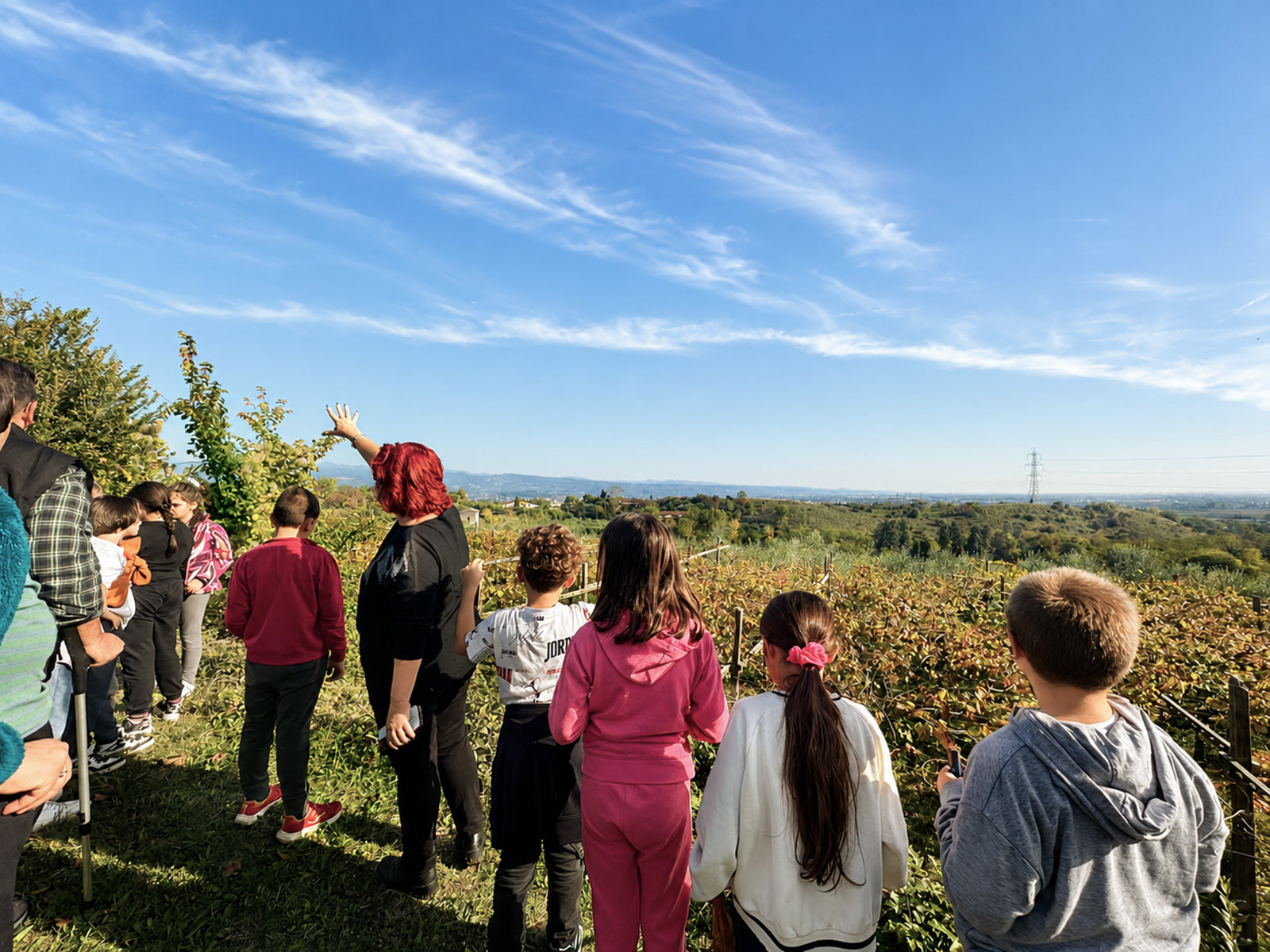 Lake Garda Olive Oil Tour &amp; Tasting with Panoramic Views - Touraround