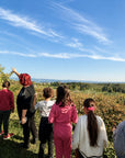 Lake Garda Olive Oil Tour & Tasting with Panoramic Views - Touraround