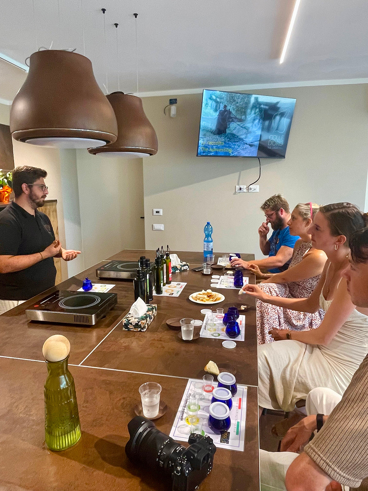 Lake Garda Olive Oil Tour &amp; Tasting with Panoramic Views - Touraround