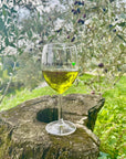 Lake Garda Olive Oil Tour & Tasting with Panoramic Views - Touraround