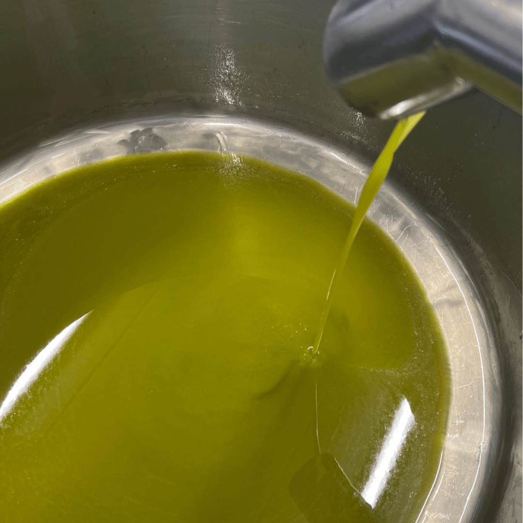 Olive Mill Tour and Tasting in the Padua Hills - Olive Oil Experience - Touraround