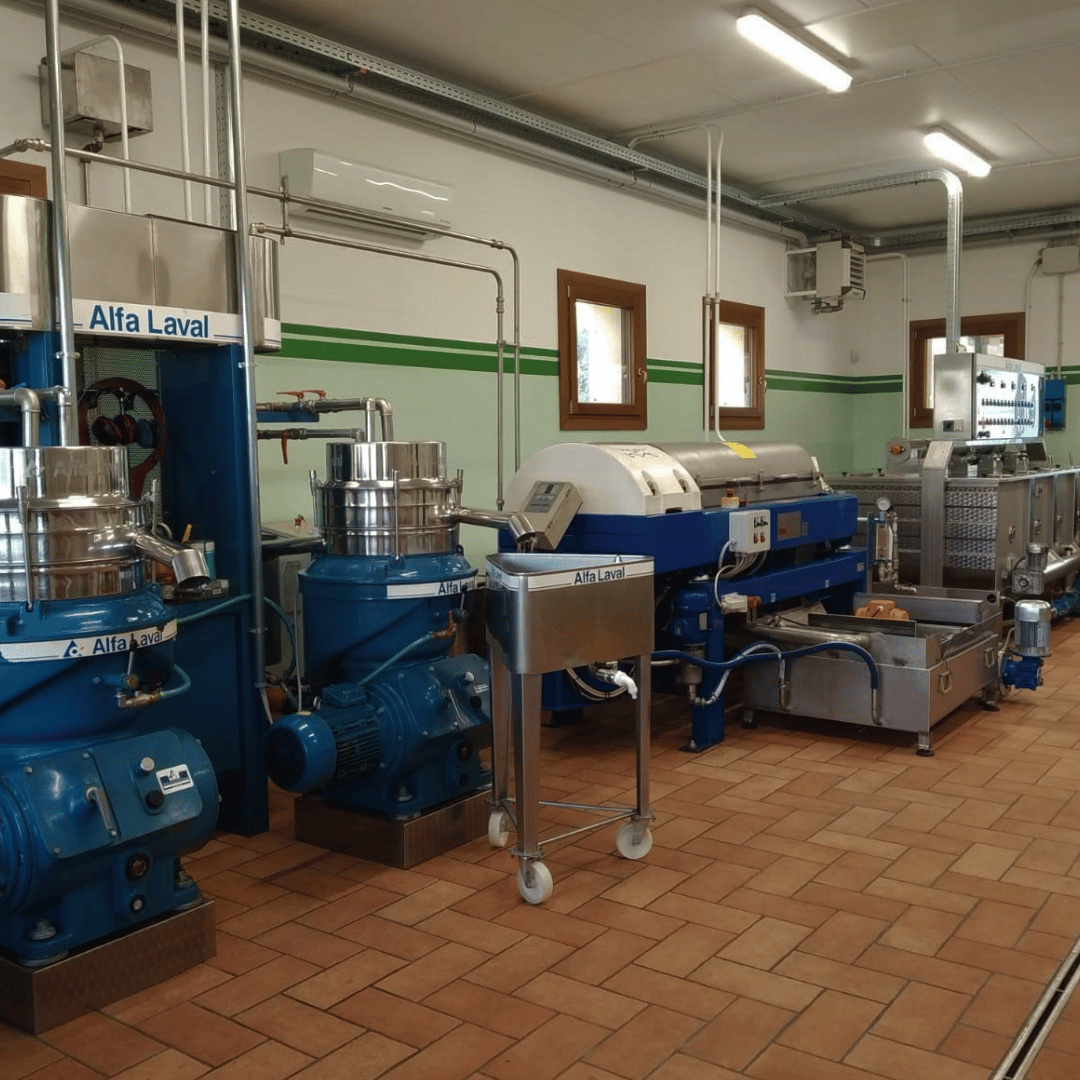 Olive Mill Tour and Tasting in the Padua Hills - Olive Oil Experience - Touraround