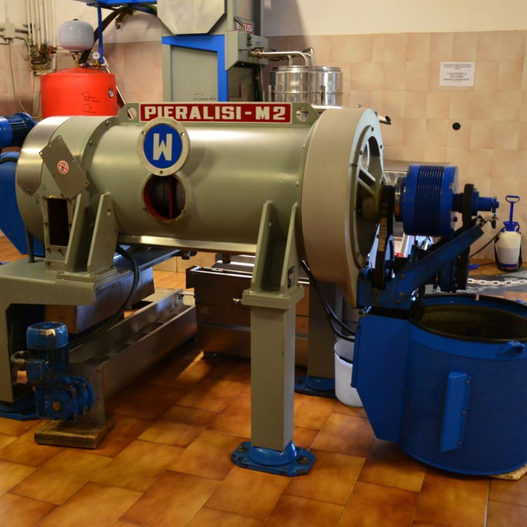 Olive Mill Tour with Oil &amp; Food Tasting near Siena &amp; Perugia - Olive Oil Experience - Touraround
