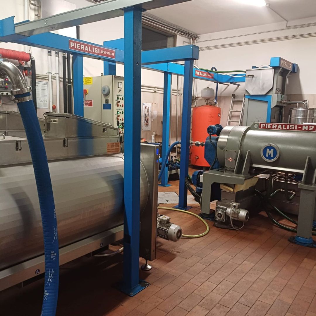 Olive Mill Tour with Oil &amp; Food Tasting near Siena &amp; Perugia - Olive Oil Experience - Touraround