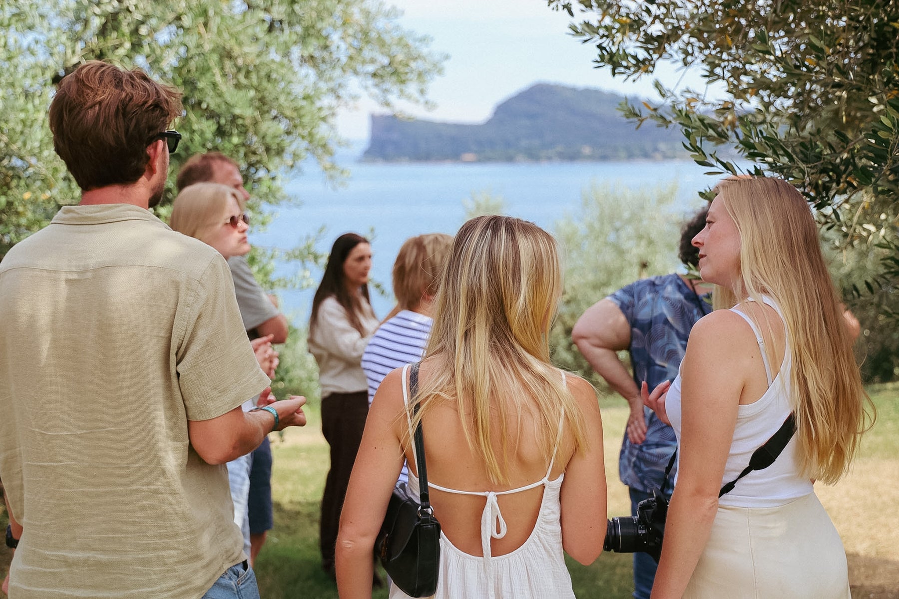 Olive Oil Tasting with local food on Lake Garda Hills - Touraround