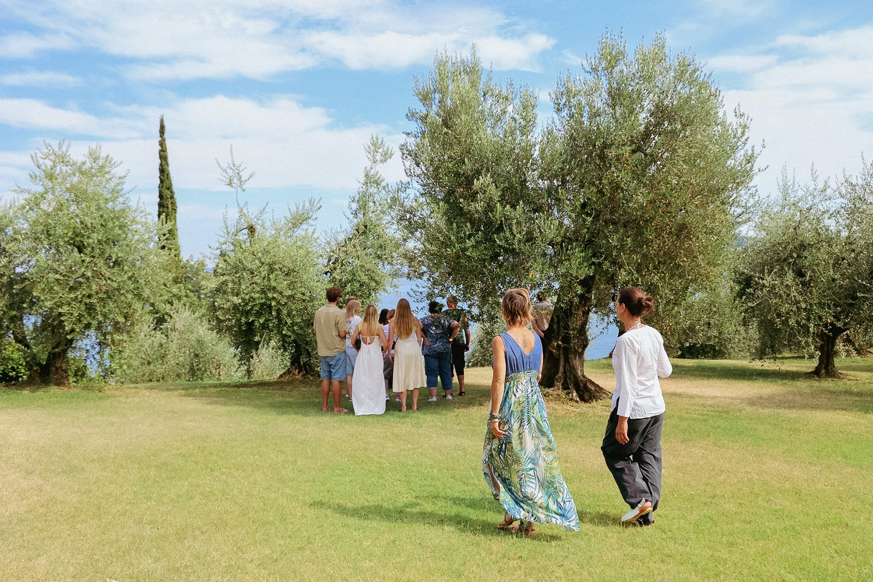 Olive Oil Tasting with local food on Lake Garda Hills - Touraround