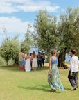 Olive Oil Tasting with local food on Lake Garda Hills - Touraround