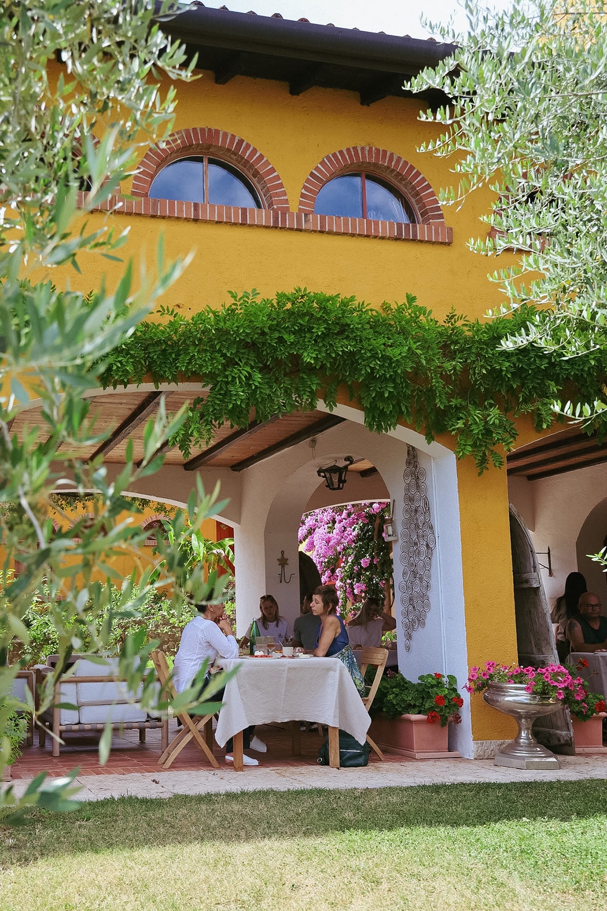 Olive Oil Tasting with local food on Lake Garda Hills - Touraround