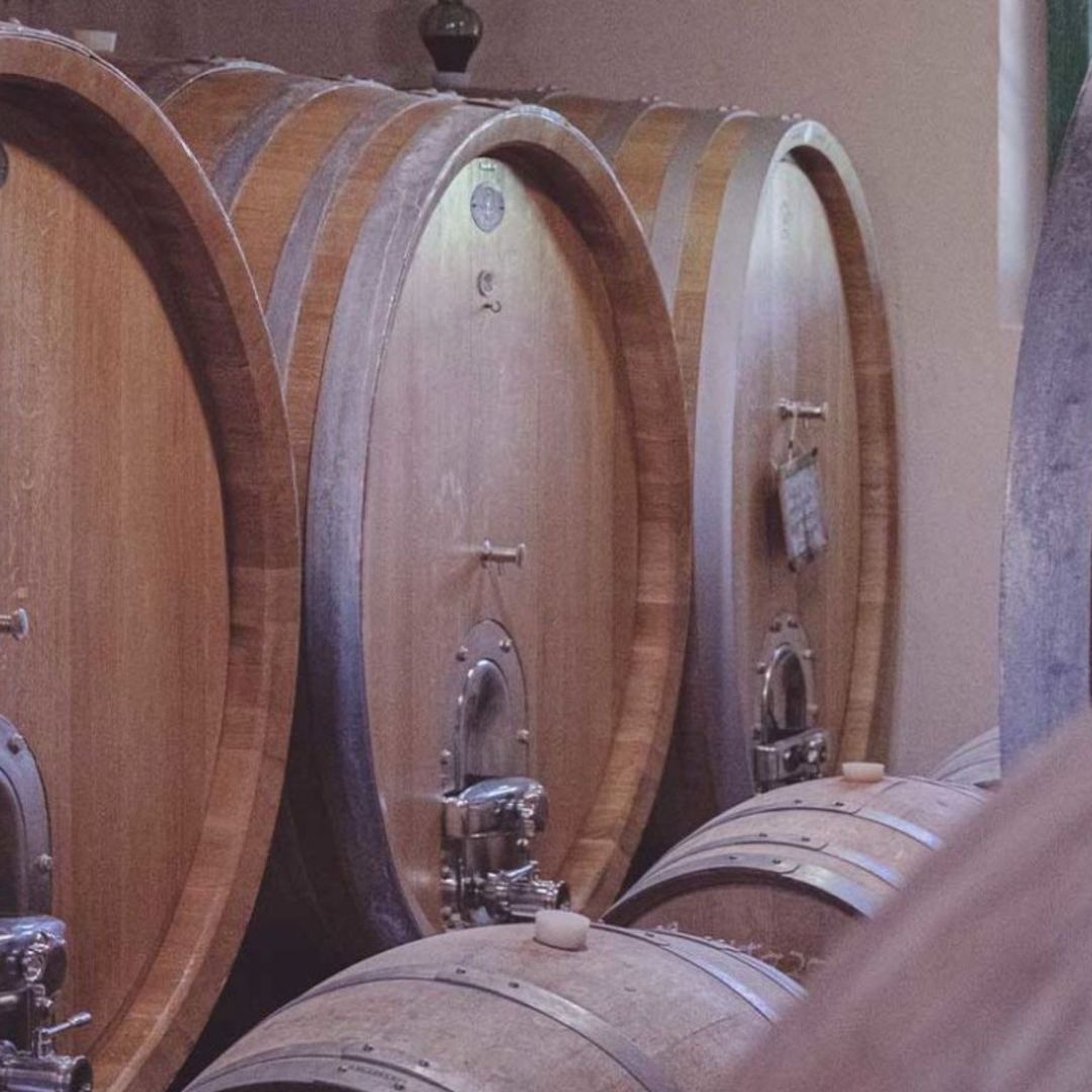 Organic and Biodynamic Winery Tour and Tasting in Lucca - Wine Tasting - Touraround
