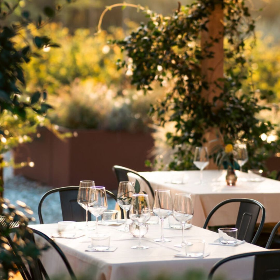 Organic and Biodynamic Winery Tour and Tasting in Lucca - Wine Tasting - Touraround