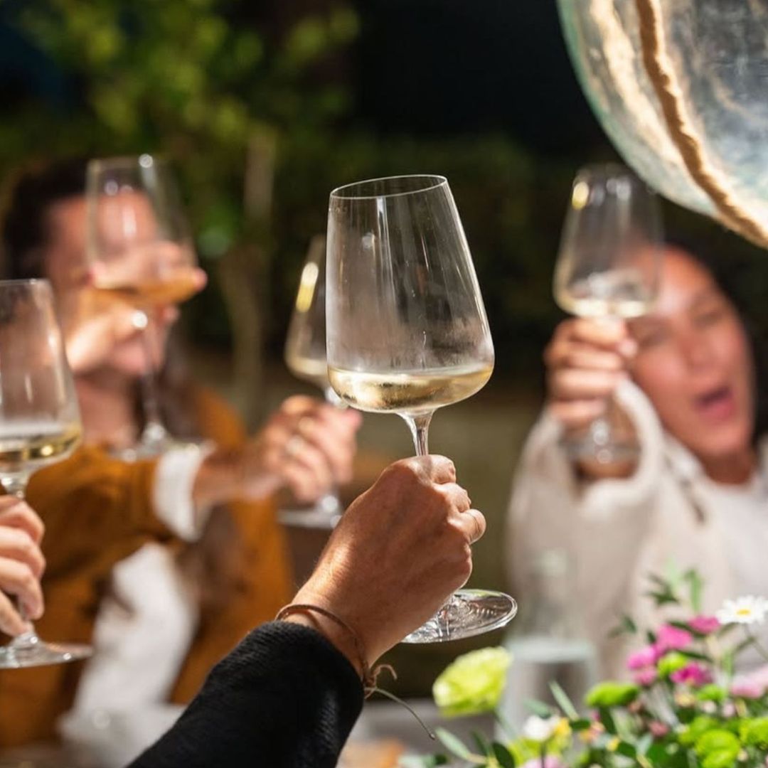 Organic and Biodynamic Winery Tour and Tasting in Lucca - Wine Tasting - Touraround