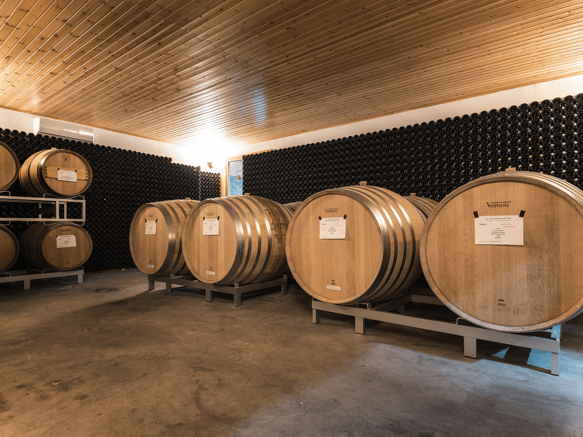 Pavia: Organic Winery Visit &amp; Wine Tasting with Food Platter - Wine Tasting - Touraround