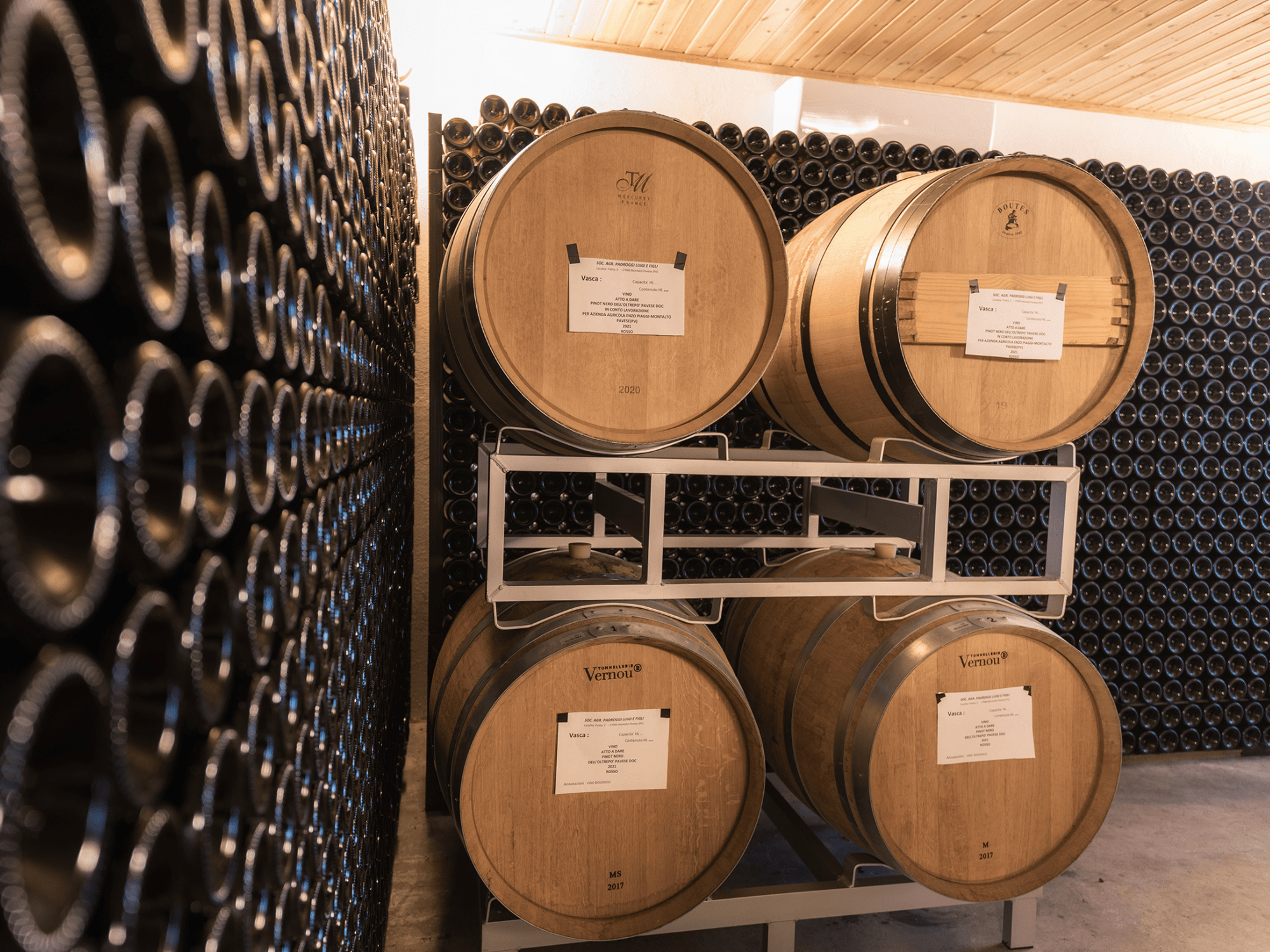 Pavia: Organic Winery Visit &amp; Wine Tasting with Food Platter - Wine Tasting - Touraround