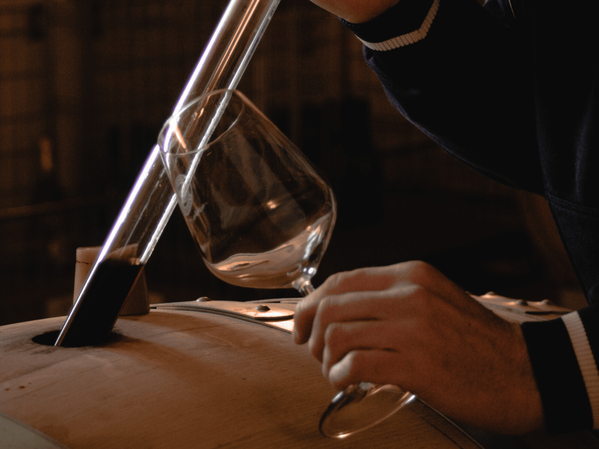 Pavia: Organic Winery Visit &amp; Wine Tasting with Food Platter - Wine Tasting - Touraround