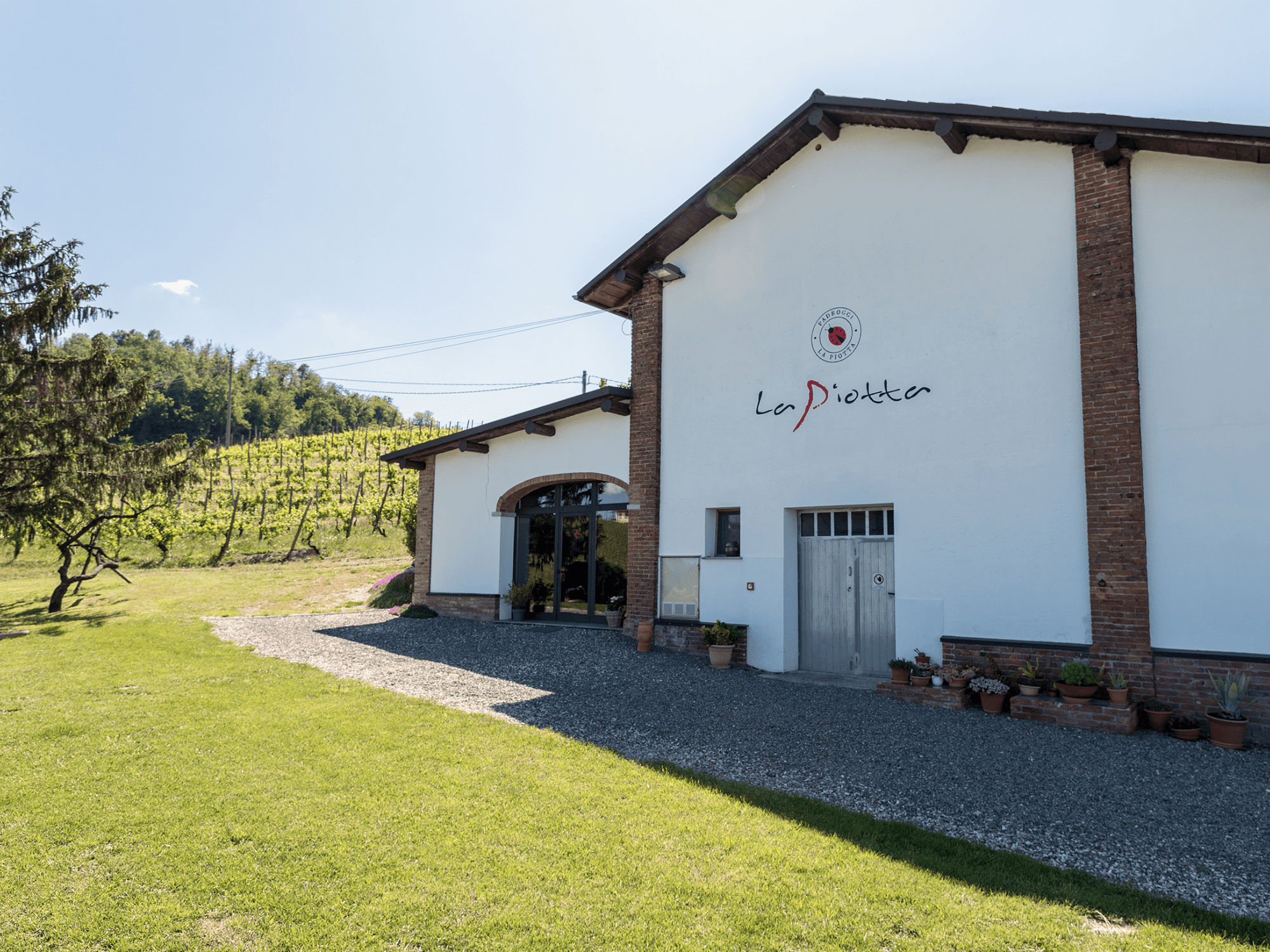 Pavia: Organic Winery Visit &amp; Wine Tasting with Food Platter - Wine Tasting - Touraround