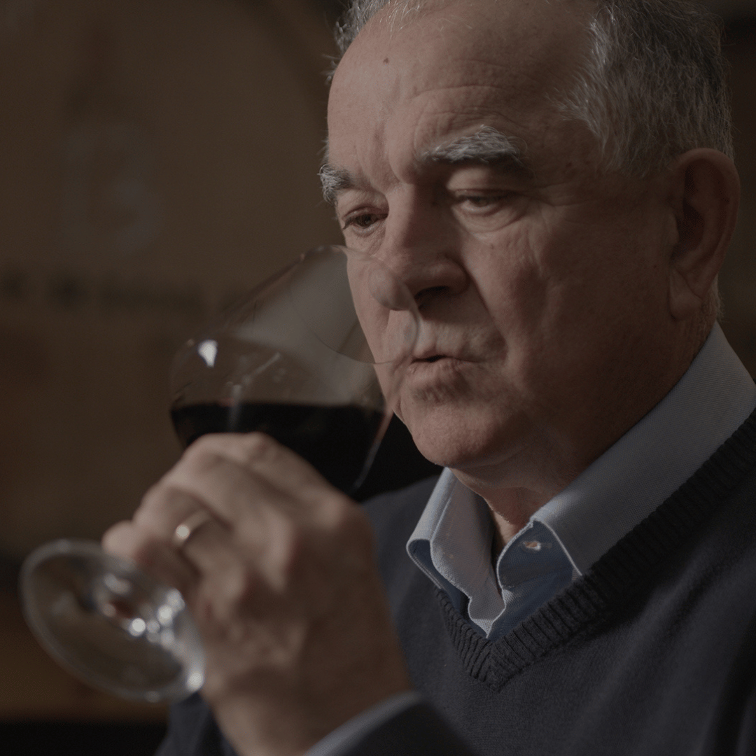 Perugia Winery Visit & Tasting near the Lake Trasimeno - Wine Tasting - Touraround