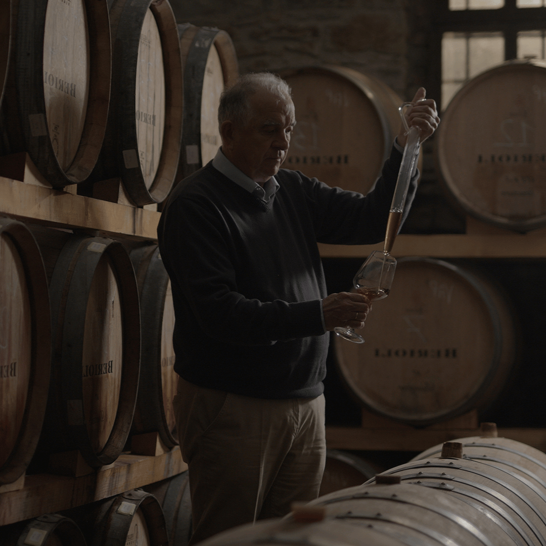 Perugia Winery Visit & Tasting near the Lake Trasimeno - Wine Tasting - Touraround