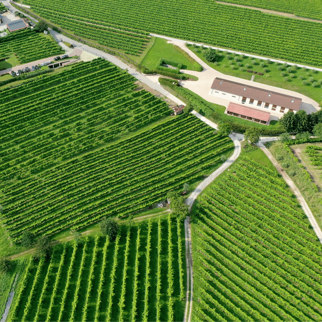 Prosecco Tasting in Countryside Winery - Wine Tasting - Touraround