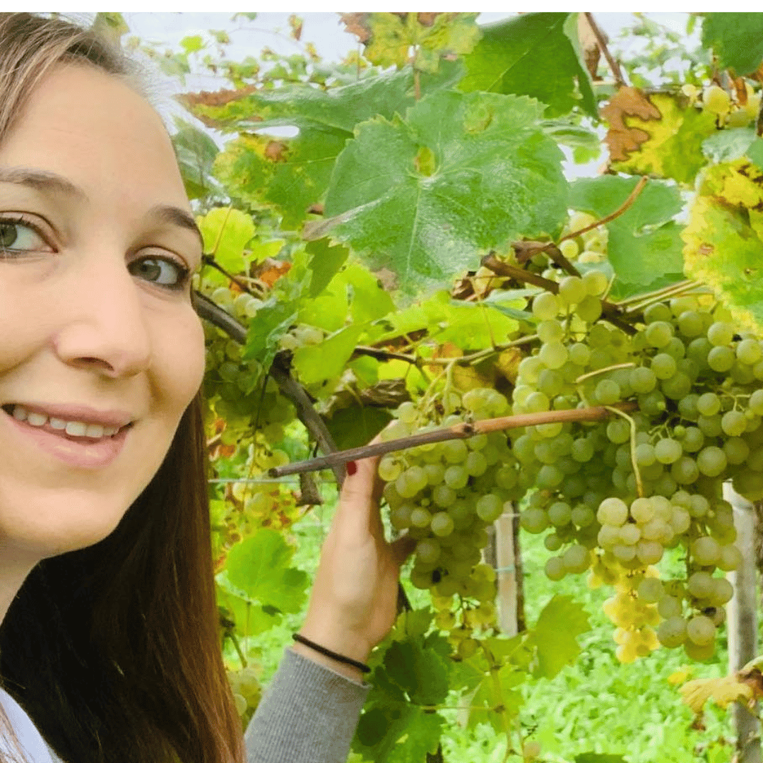 Prosecco Tasting in Countryside Winery - Wine Tasting - Touraround