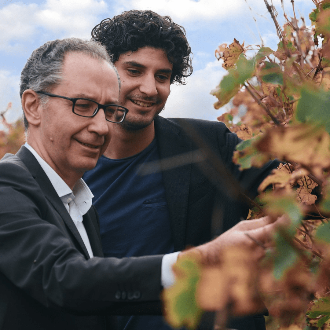 Reggio Emilia: Balsamic Vinegar Tasting &amp; Production Tour - Balsamic Vinegar Tasting - Touraround
