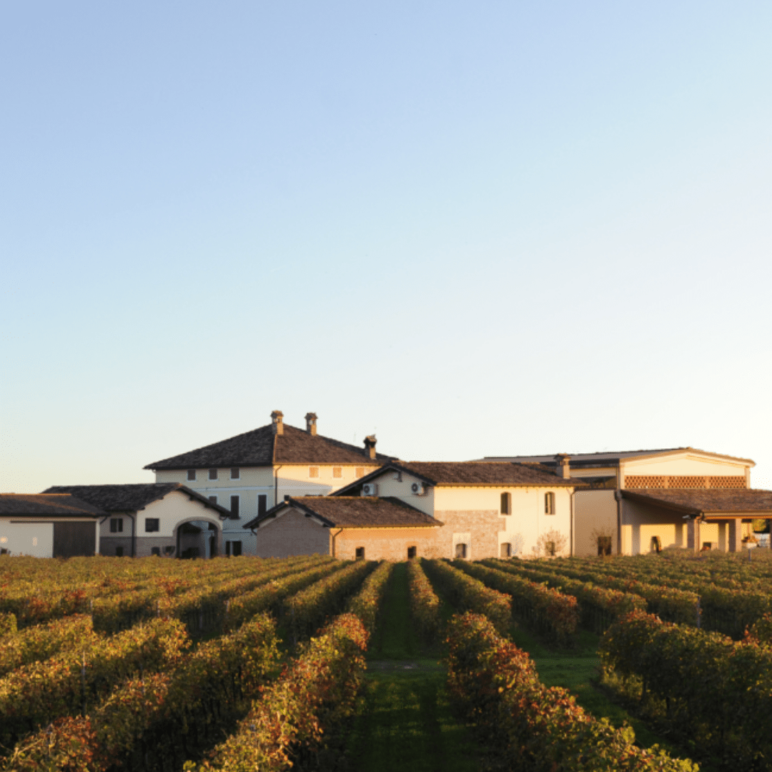 Reggio Emilia: Balsamic Vinegar Tasting &amp; Production Tour - Balsamic Vinegar Tasting - Touraround
