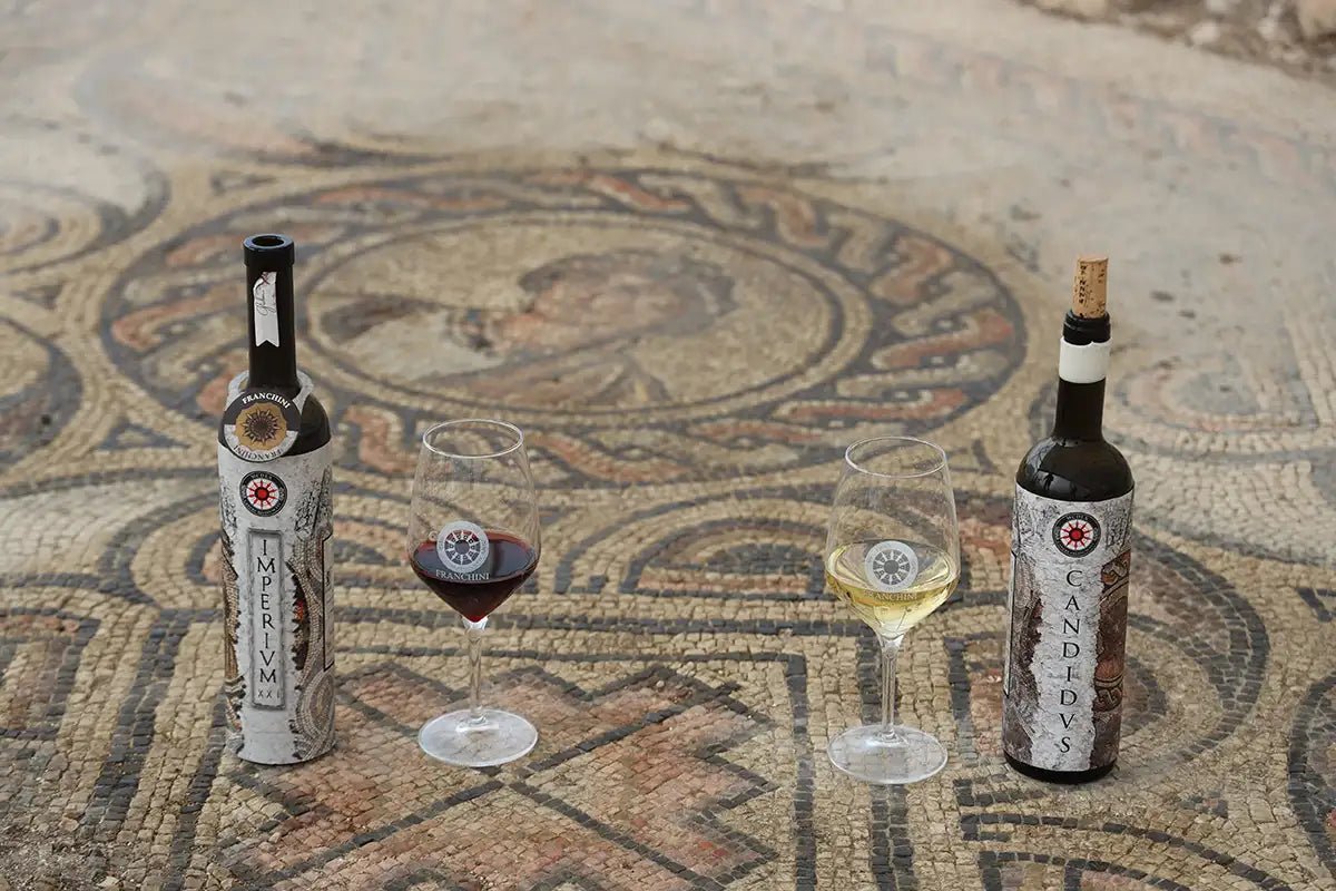 Roman Villa Mosaics Tour &amp; Valpolicella Wine Tasting - Wine Tasting - Touraround