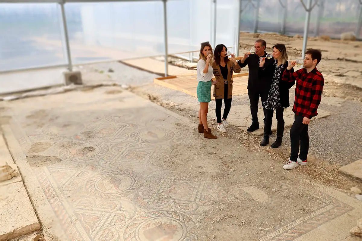 Roman Villa Mosaics Tour &amp; Valpolicella Wine Tasting - Wine Tasting - Touraround