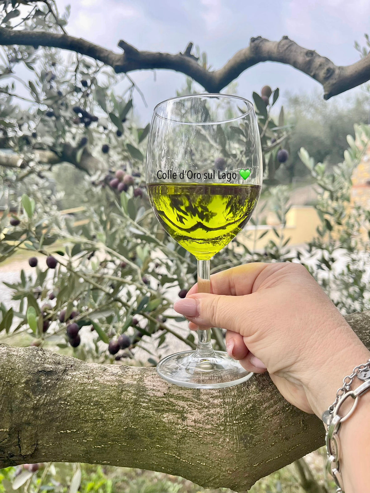 Sensory Olive Oil Tasting Experience with Garda DOP on Lake Garda - Touraround