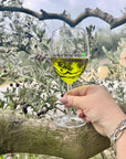 Sensory Olive Oil Tasting Experience with Garda DOP on Lake Garda - Touraround