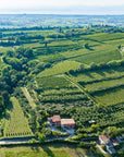 Sensory Olive Oil Tasting Experience with Garda DOP on Lake Garda - Touraround