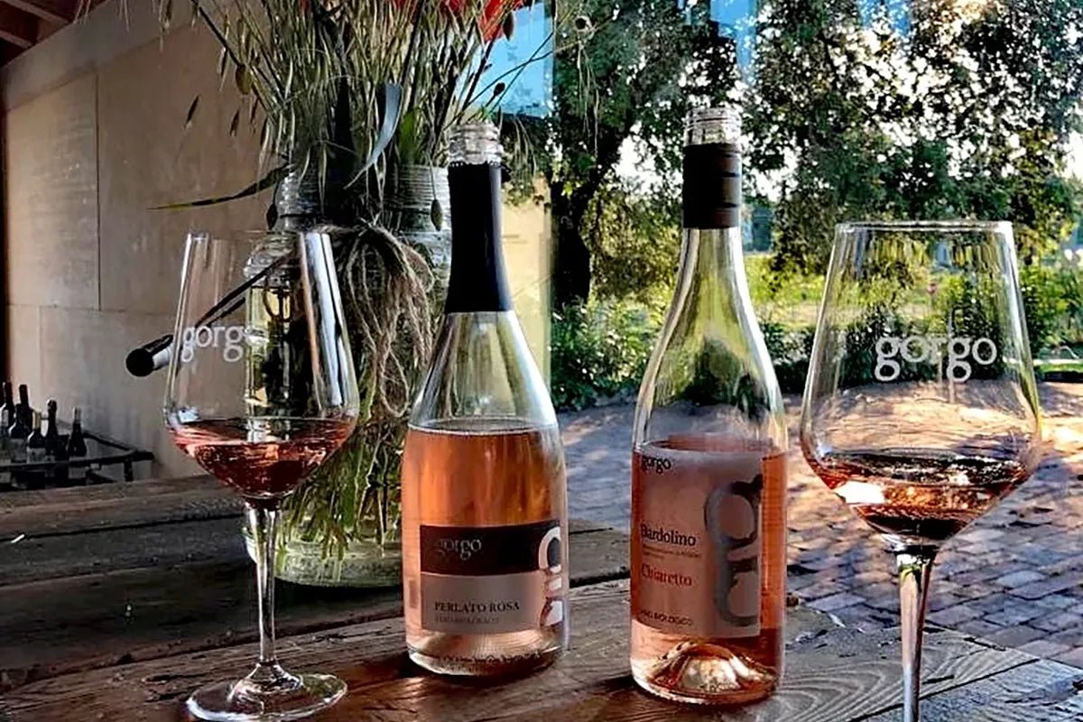 Tour and tasting of 3 organic wines near Custoza - Wine Tasting - Touraround