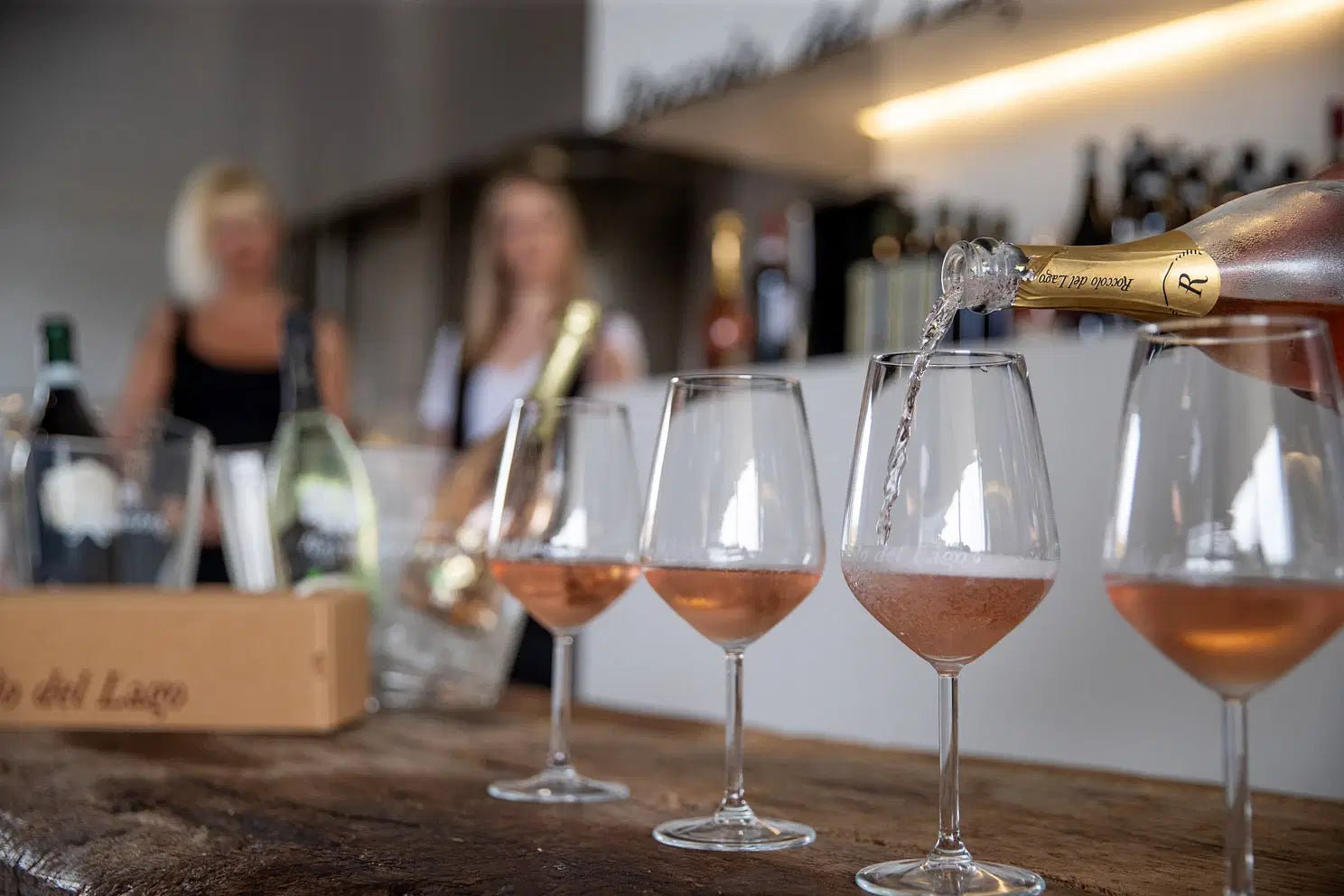 Tour and Tasting of Organic Wines in Lazise - Wine Tasting - Touraround