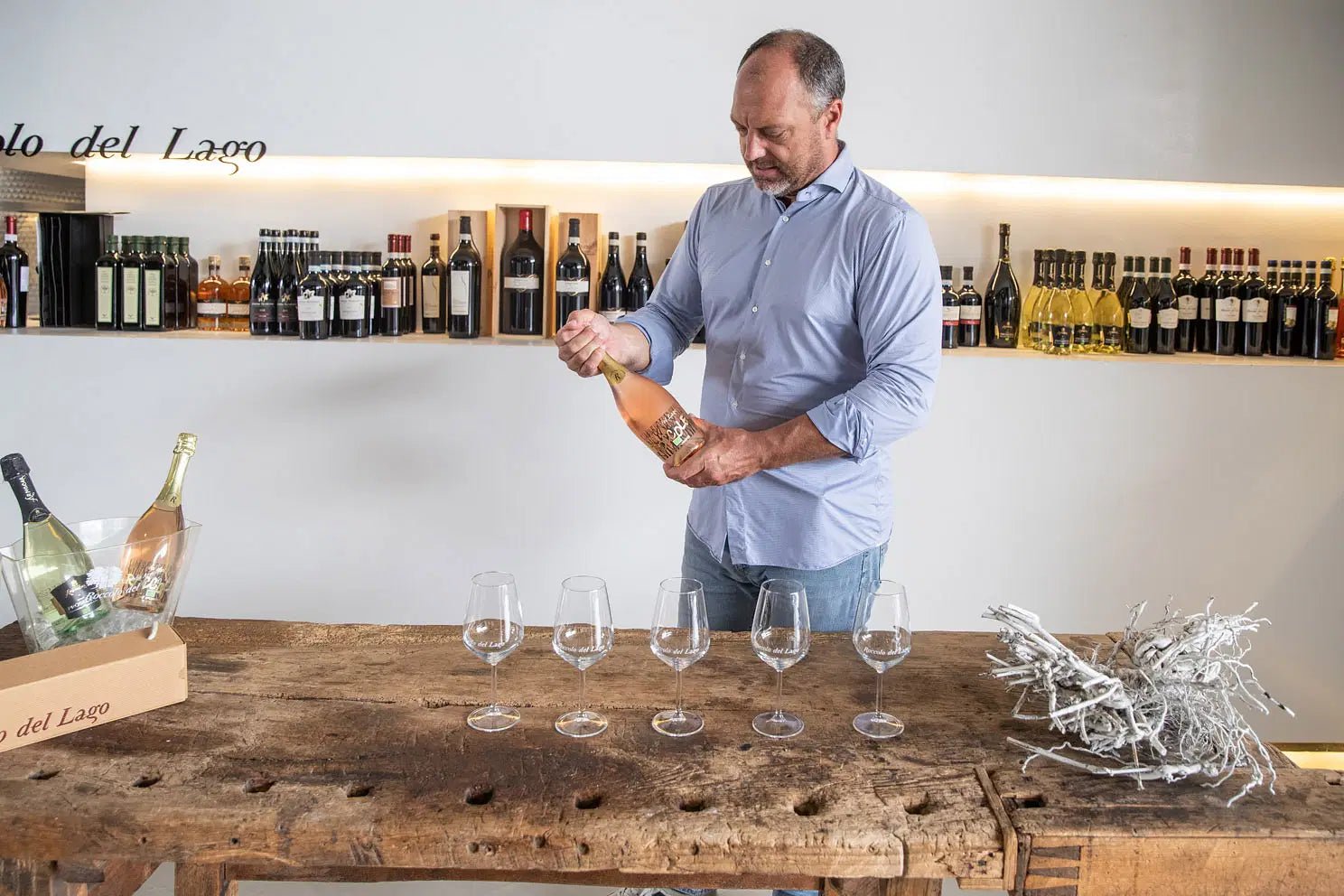Tour and Tasting of Organic Wines in Lazise - Wine Tasting - Touraround