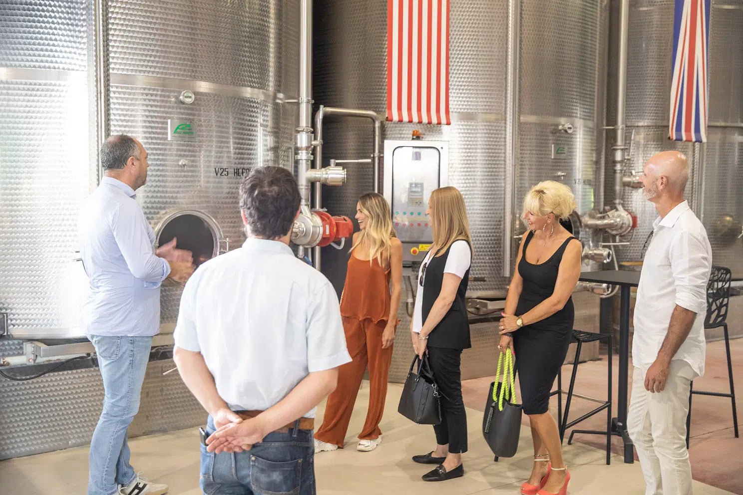 Tour and Tasting of Organic Wines in Lazise - Wine Tasting - Touraround