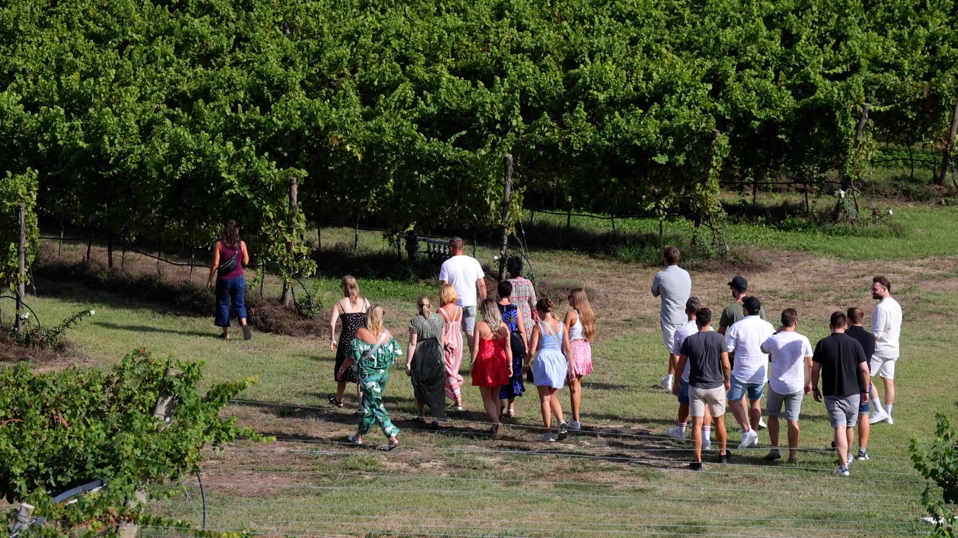 This experience will make you live the emotion of visiting a winery, discovering the methods of production and aging, according to a tradition that has lasted for about 100 years