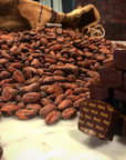 Experience Image