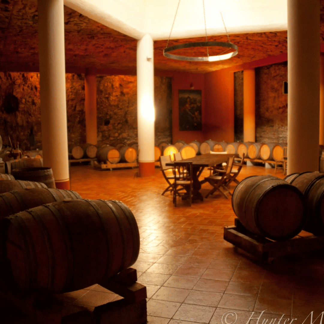 Vicenza: Vineyard Walk &amp; Wine Tasting in the Berici Hills - Wine Tasting - Touraround