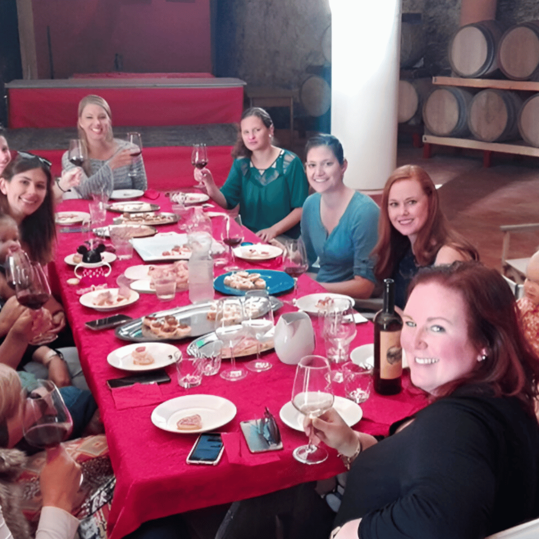 Vicenza: Vineyard Walk &amp; Wine Tasting in the Berici Hills - Wine Tasting - Touraround