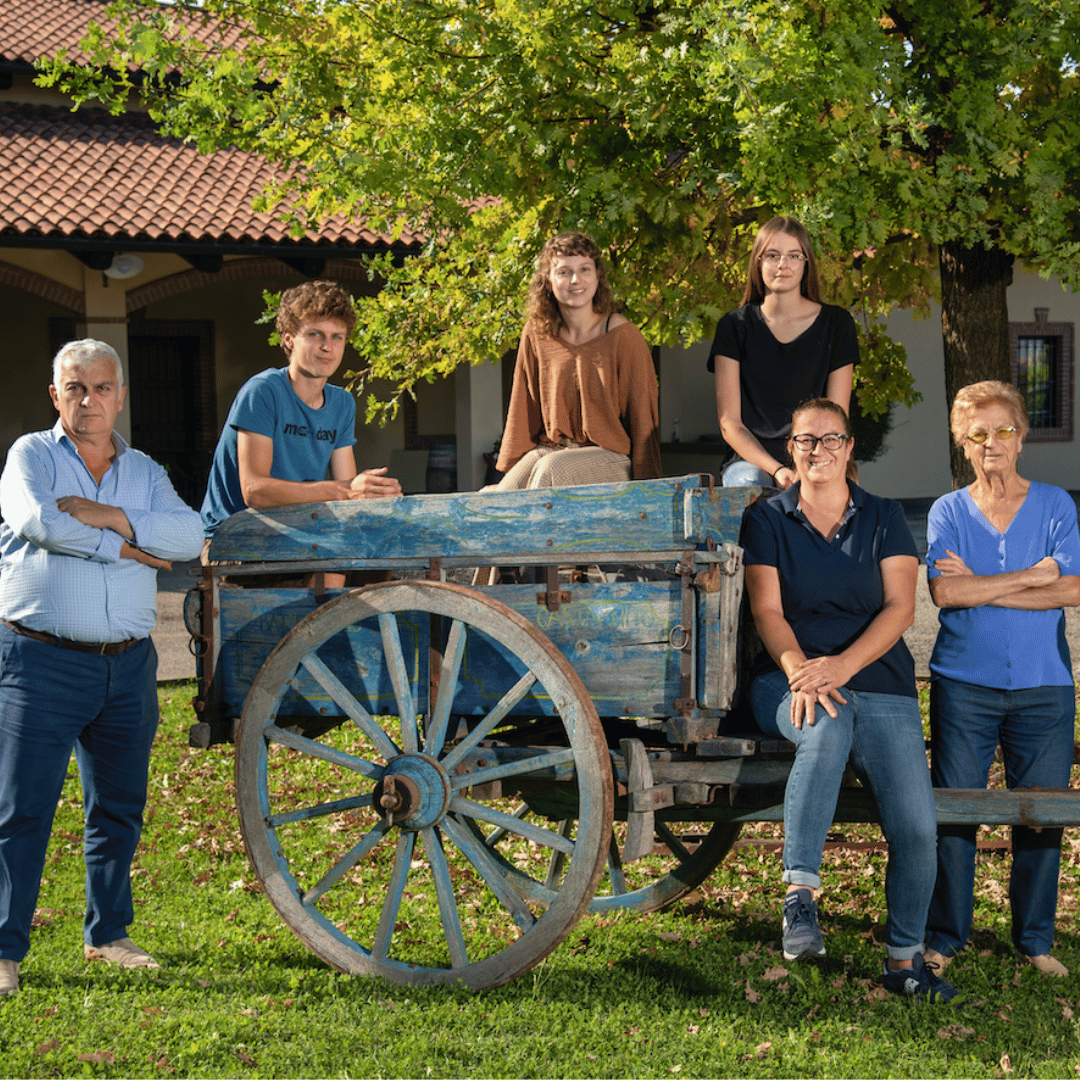 Wine Tasting and Food Parings in Langhe and near Alba - Wine Tasting - Touraround