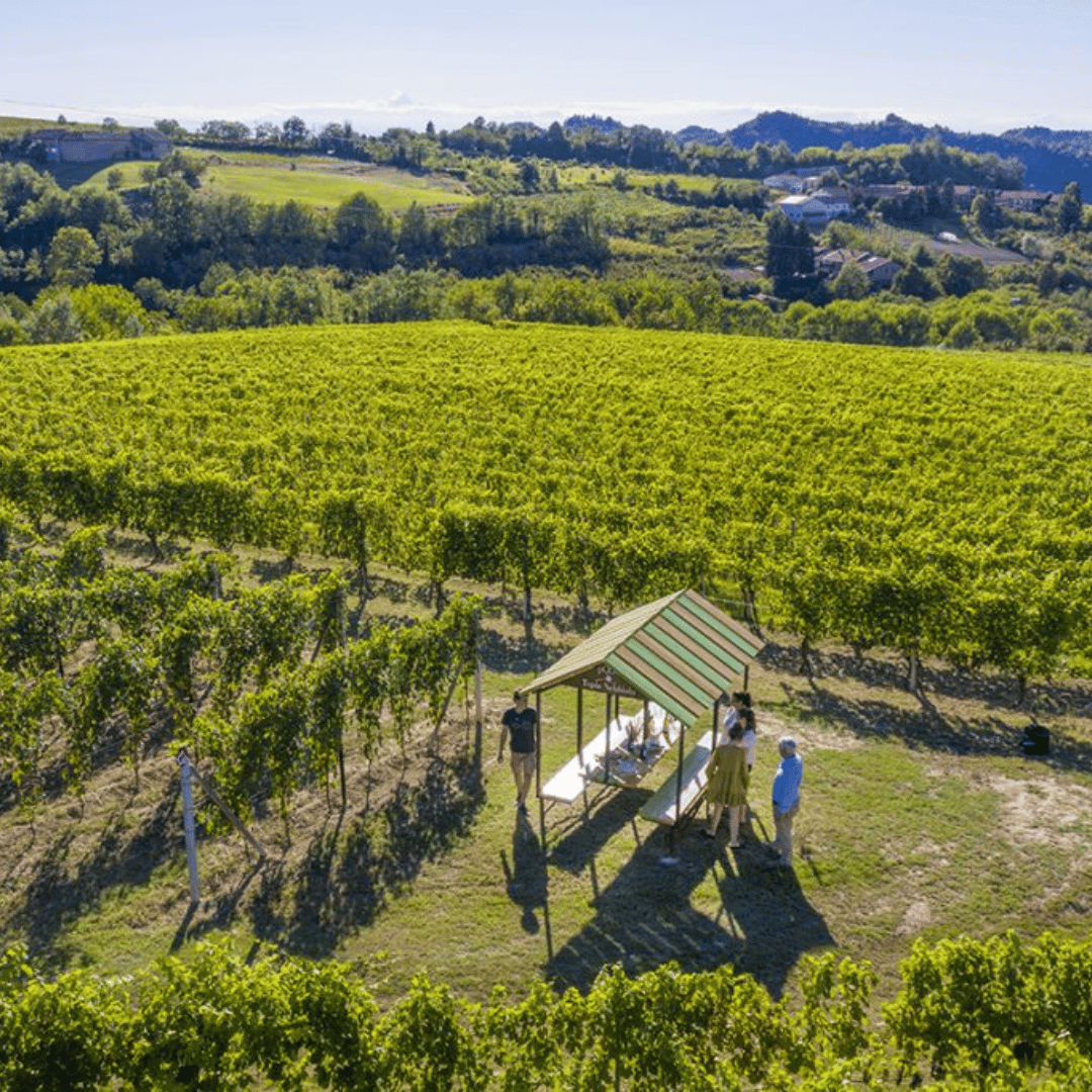 Wine Tasting and Food Parings in Langhe and near Alba - Wine Tasting - Touraround