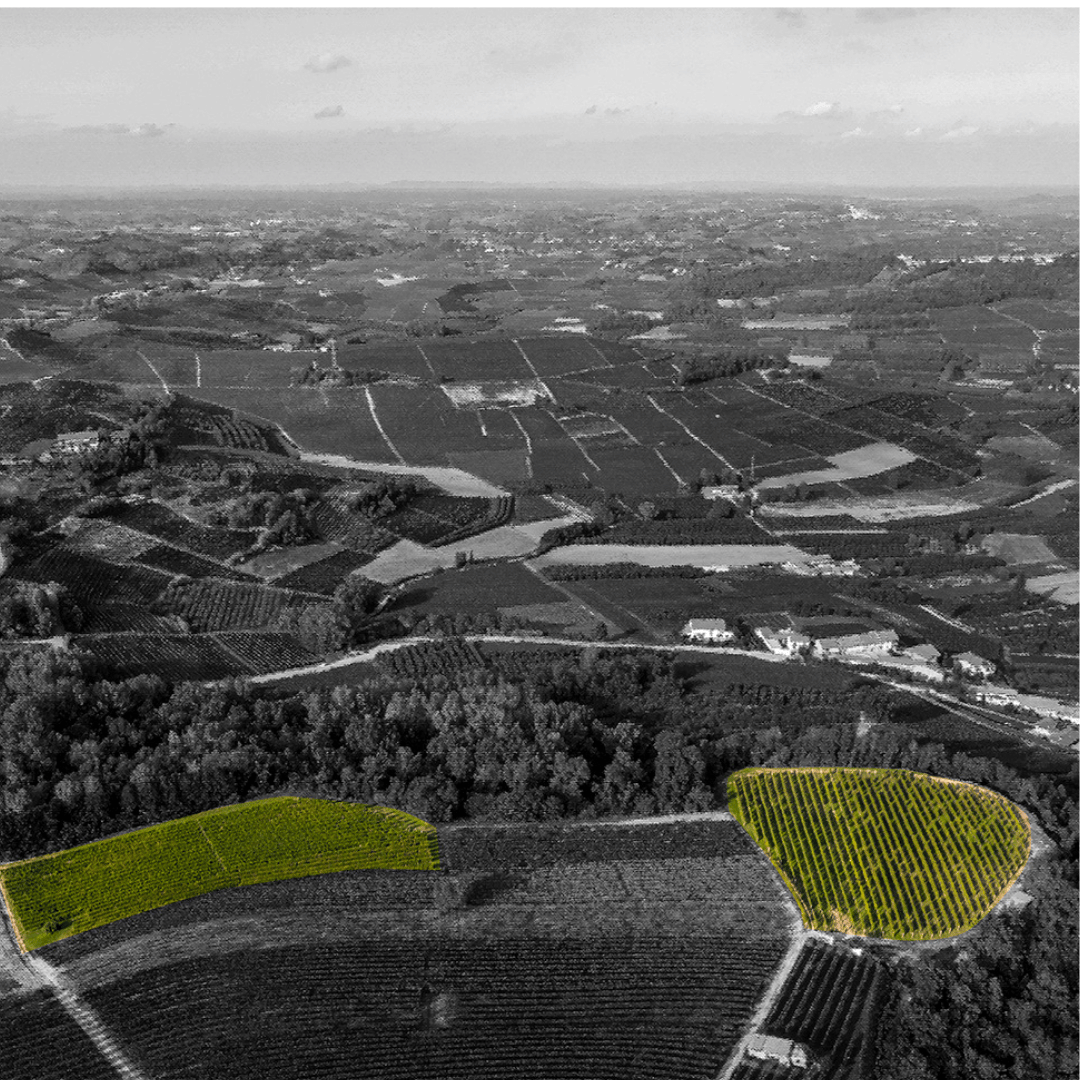 Wine Tasting and Food Parings in Langhe and near Alba - Wine Tasting - Touraround