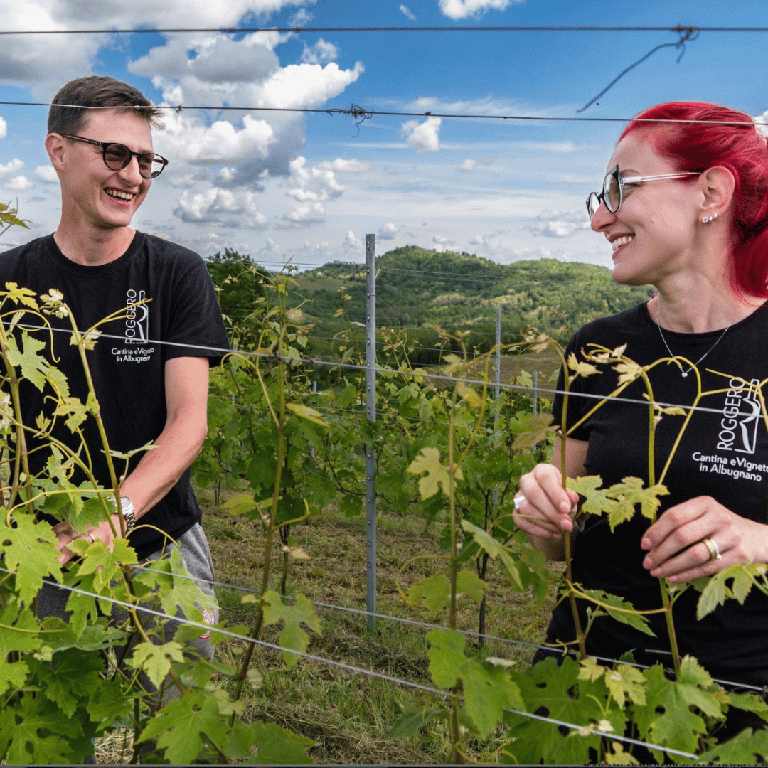 Wine Tasting and Winery Visit near Asti and Turin - Wine Tasting - Touraround