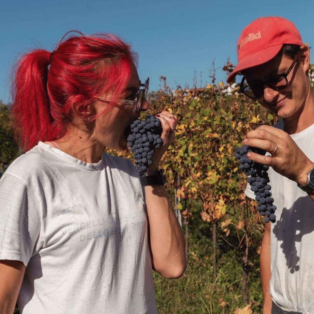 Wine Tasting and Winery Visit near Asti and Turin - Wine Tasting - Touraround